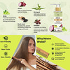 Tnw-The Natural Wash Hair Care Combo Amla Hair Shampoo With Neem Wood Comb 200 Ml