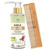 Tnw-The Natural Wash Hair Care Combo Amla Hair Shampoo With Neem Wood Comb 200 Ml