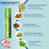 Spraymintt Mouth Freshener Saunfshiver Flavour 15Grm