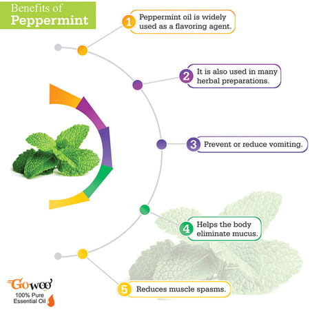 Go Woo 100% Pure Peppermint (Pudhina) Virgin & Undiluted 10 Ml