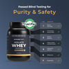 Nutrabay Gold 100% Whey Protein Isolate - Rich Chocolate Creme - 1Kg