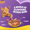 Purina | Friskies Surfin Favourites Adult Dry Cat Food | 1Kg