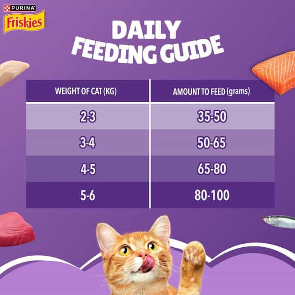Purina | Friskies Surfin Favourites Adult Dry Cat Food | 1Kg