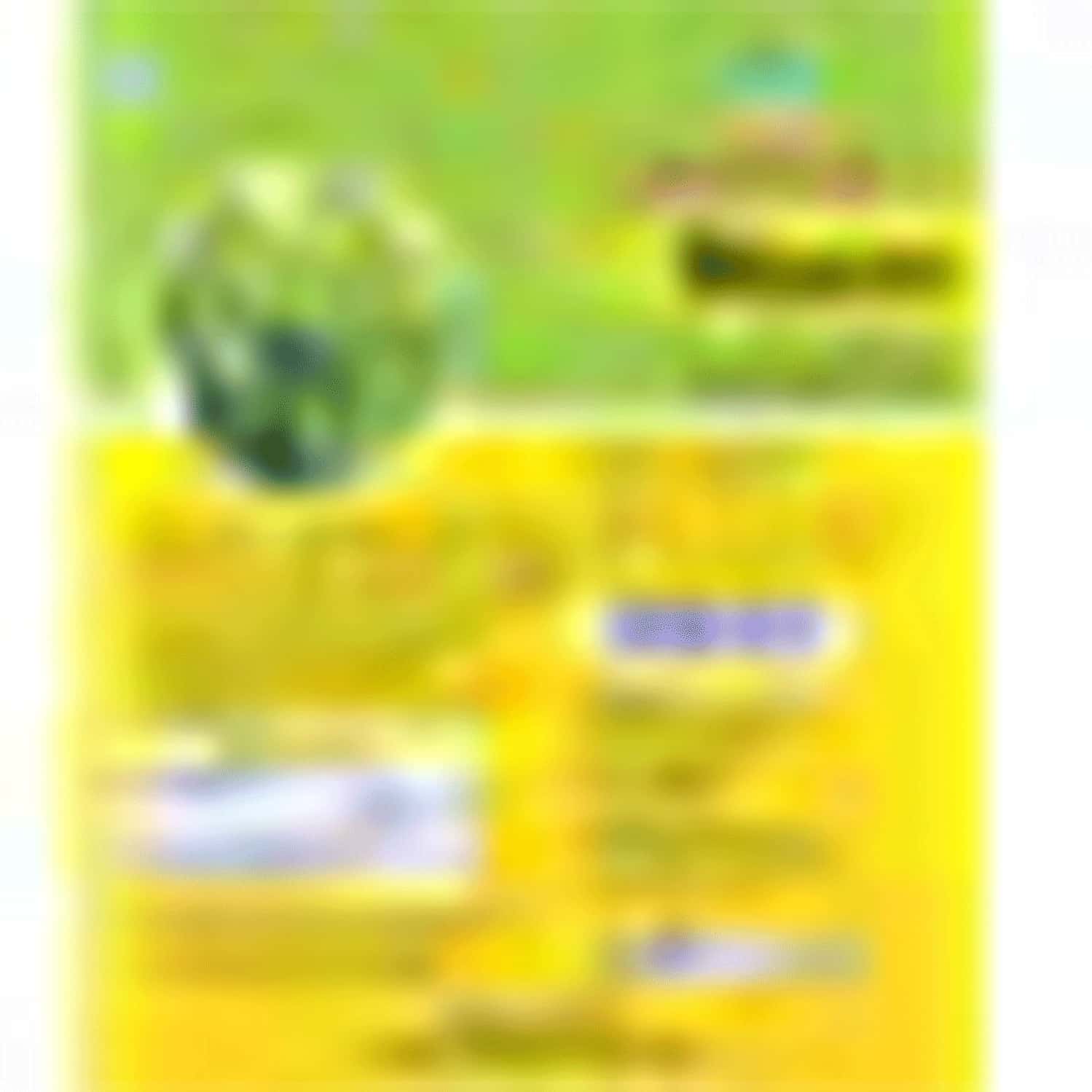 Buy HERBAL HILLS NEEM POWDER NEEM LEAVES POWDER (1 KG SINGLE PACK