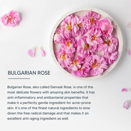 Lotus Professional Dermospa Bulgarian Rose Glow & Brightening Enhancing Face Wash80g