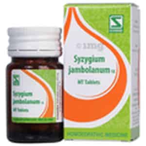 Dr. Willmar Schwabe India Syzygium Jambolanum Trituration 1x Mt Tablet Pack Of 2