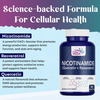Fitness Veda Nicotinamide (Quercetin + Resveratrol) Nicotinamide Mononucleotide