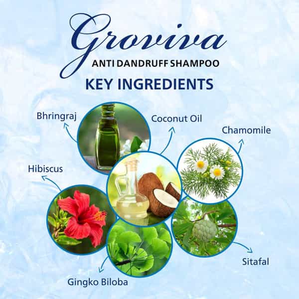 Groviva Anti-Dandruff Shampoo 300 Ml | Reduces Dandruff | Dry Frizzy Hair (Pack Of 4)