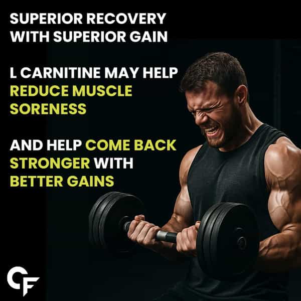 Carbamide Forte L-Carnitine L-Tartrate 1000Mg Pre & Post Workout Supplement 60 Capsules