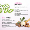 Letsshave Evior Body Lotion For Women