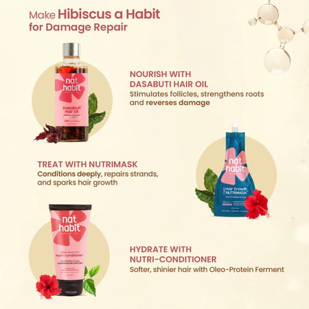 Nat Habit Natural Hibiscus Shampoo | Women & Men | Damage Repair | Sulphate & Paraben Free (250Ml)