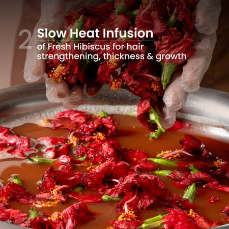 Nat Habit Natural Hibiscus Shampoo | Women & Men | Damage Repair | Sulphate & Paraben Free (250ml)