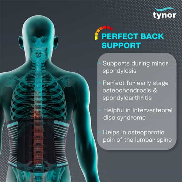 Tynor Lumbo Sacral Belt Black Large 1 Unit