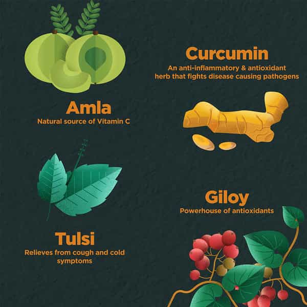 Foresta Organics Immune Health With Tulsi Amla Curcumin (Turmeric Extract) & Giloy - 60 Capsules
