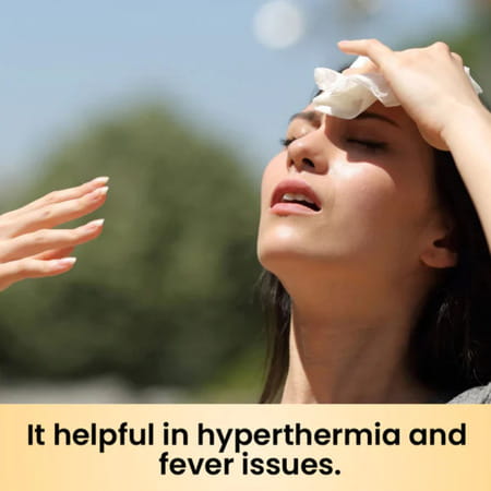 Cipzer Sikanjabeen Lemuni | Relieves Nausea & Vomiting| Supports Digestive Health | 200 Ml