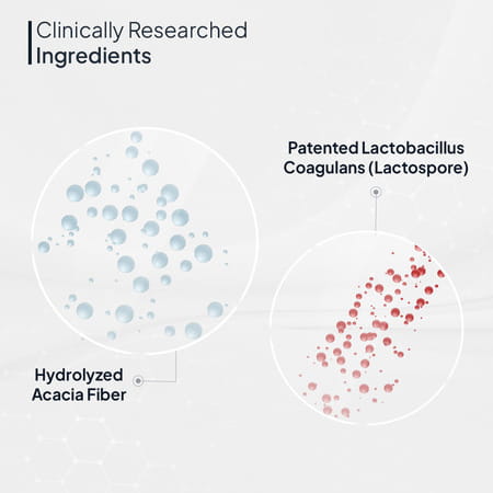 Miduty Probiotics & Prebiotics Fiber - Gut Health - Skin Issues - Patented Lacto Baccilus - 150g