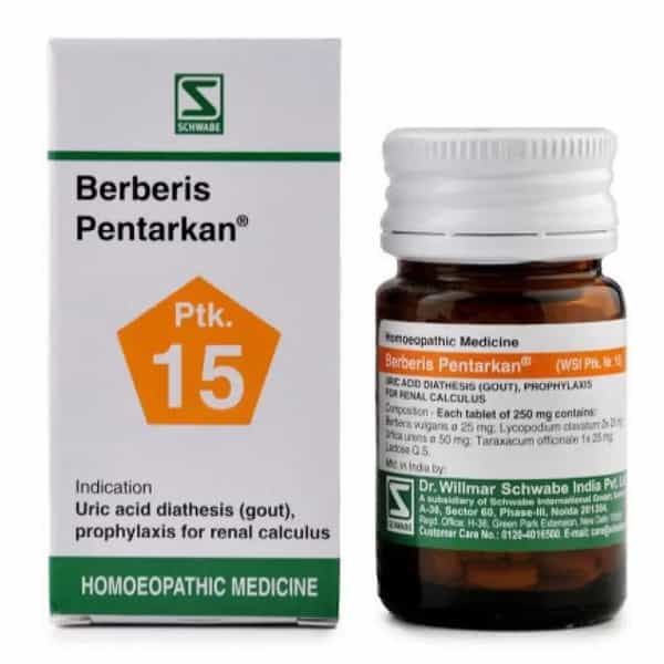 Dr. Willmar Schwabe Germany Berberis Pentarkan Ptk. 15 Tablet (Pack Of 2)