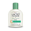 Lacto Calamine Face Lotion For Oil Balance - Combination To Normal Skin - 60 Ml
