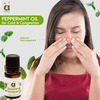 Anveya Peppermint Essential Oil 100% Natural 15Ml