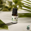 Anveya Peppermint Essential Oil 100% Natural 15Ml