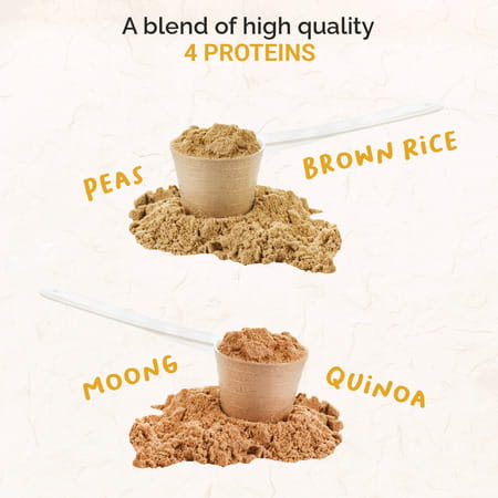 Onelife 100% Plant Protein- Mocha 500gm