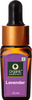 Organic Harvest Lavender Essential Oil- 10ml