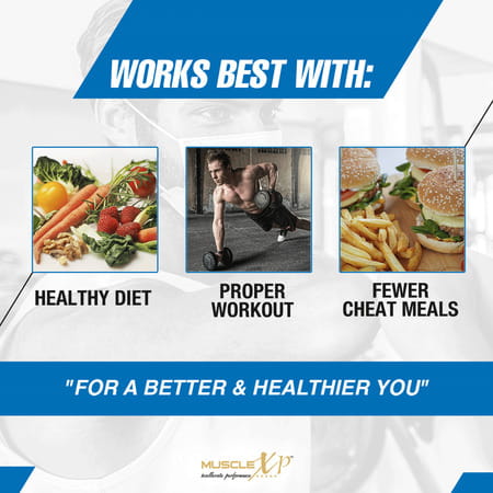Musclexp One Daily Vital+ Ginseng Multivitamin With 24 Vitamins & Minerals+Panax Ginseng 60 Softgels