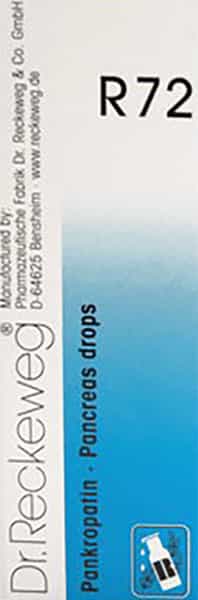 Dr. Reckeweg R 72 Pancreas Drops 22 Ml