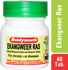 Baidyanath Asli Ayurved Ekangweer Ras | Pain Relief Tablets | 40 Tabs (Pack Of 3)