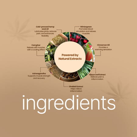 Boheco Glide+ Gel For Joint Pain Relief | With Vijaya Leaf Extract & Shallaki Extract | 50gm