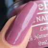 Debelle Gel Nail Polish Combo Set Of 5 Chrome Beige 40 Ml (8 Ml Each) Gift For Women