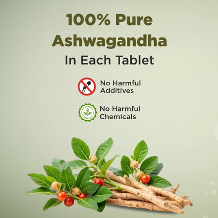 Four Seasons Ashwagandha Tablet - 60 Tabs | Stress Relief | Rejuvenates Mind & Body (Pack Of 2)