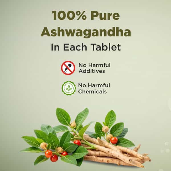 Four Seasons Ashwagandha Tablet - 60 Tabs | Stress Relief | Rejuvenates Mind & Body (Pack Of 2)