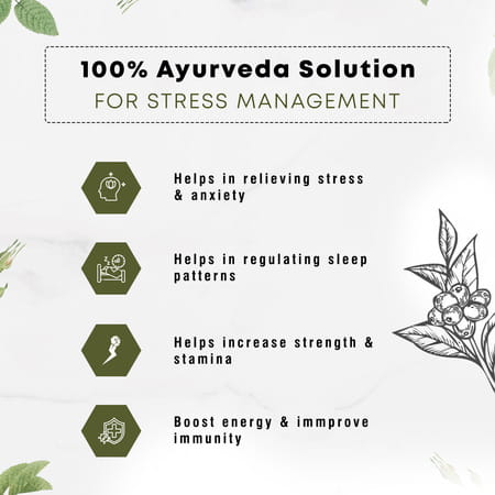 Four Seasons Ashwagandha Tablet - 60 Tabs | Stress Relief | Rejuvenates Mind & Body (Pack Of 2)