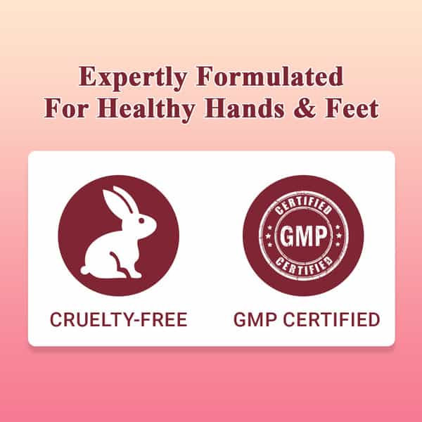 Alglaze Hand & Foot Cream | Moisturize & Heal | Shea Butter| Turmeric Oil| & Aloe Vera Extract | 50G