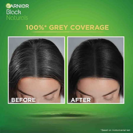 Garnier Black Naturals Oil Enriched Creme Color Deep Black 20ml + 20gm Pack Of 1