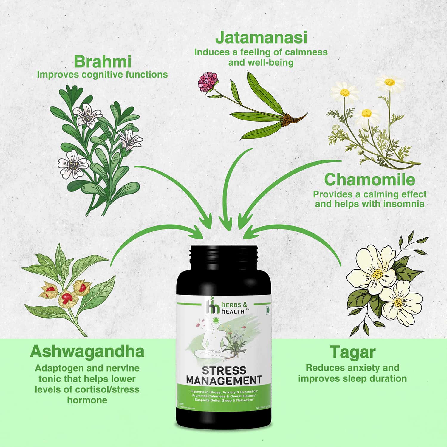 Buy HERBS & HEALTH STRESS MANAGEMENT RELIEVES STRESS, ANXIETY