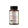 Jiva Brahmi Tablets 500mg For Mind Wellness|Helps To Relief Stress & Anxiety - 120 Tabs(Pack 1)