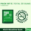 Nixit Nicotine Frost Mint Gums 2Mg Sugar-Free Bigger Size (Pack Of 5) - Helps Quit Smoking