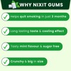 Nixit Nicotine Frost Mint Gums 2Mg Sugar-Free Bigger Size (Pack Of 5) - Helps Quit Smoking