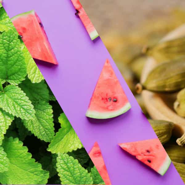 Staycool Breath Freshener Spray - Spearmint Watermelon Cardamom - Pack Of 3