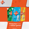 Savlon Herbal Sensitive Germ Protection Handwash 725Ml