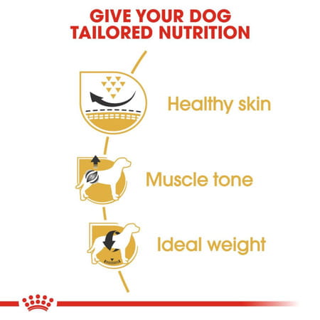 Royal Canin Pug Puppy Food | 3 Kg | Dry Food
