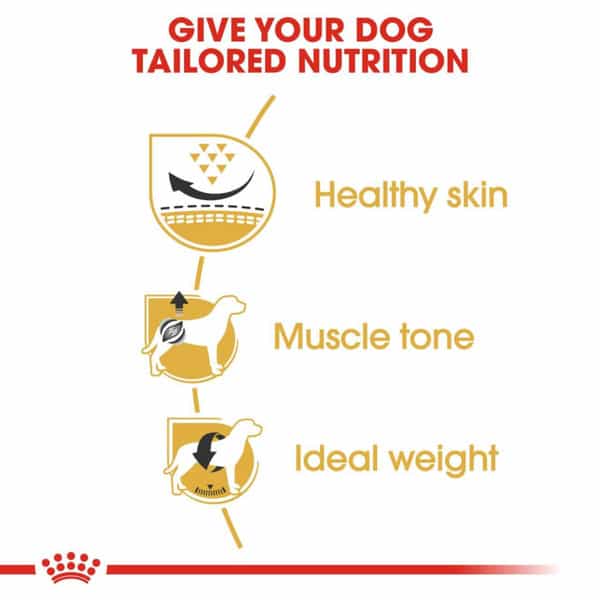 Royal Canin Pug Puppy Food | 3 Kg | Dry Food