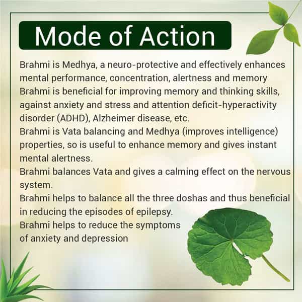 Uma Ayurveda Brahmi Capsule Ayurvedic Capsules 60 Caps