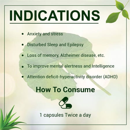 Uma Ayurveda Brahmi Capsule Ayurvedic Capsules 60 Caps