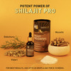 Koshaveda Shilajit Pro Drops By Muscleblaze | Shilajit Original With Gokshura - 30ml