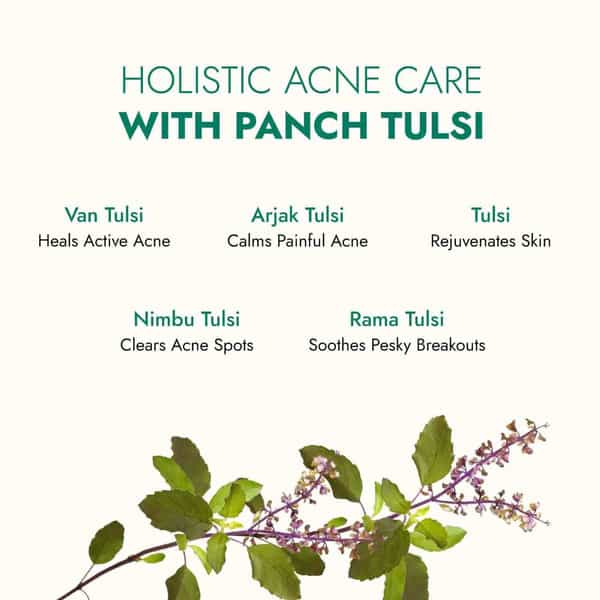 Kapiva Tulsi Anti-Acne Serum 30 Ml | For Acne & Acne Marks | Made Safe Certified