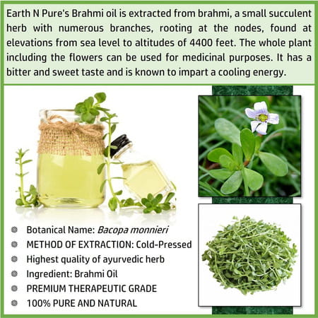 Earth N Pure Brahmi Oil 100% Natural Pure And Therapeutic Grade (100 Ml)