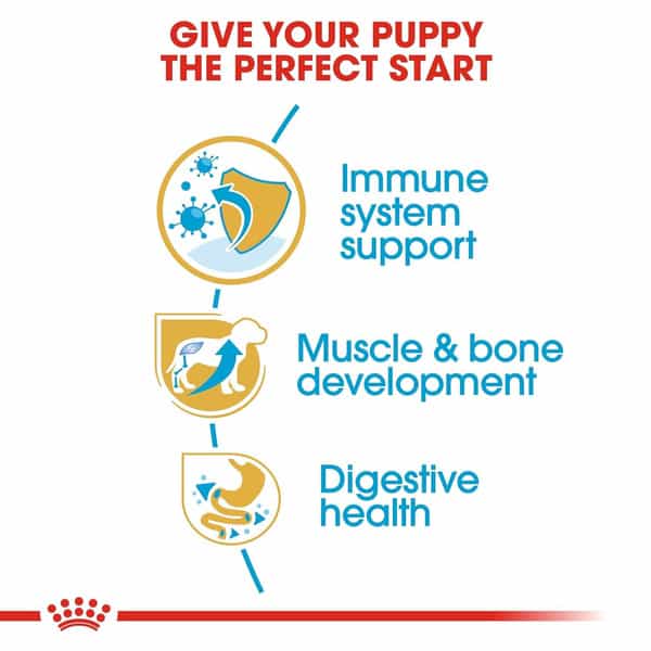 Royal Canin Rottweiler Puppy Food | 3 Kg | Dry Food